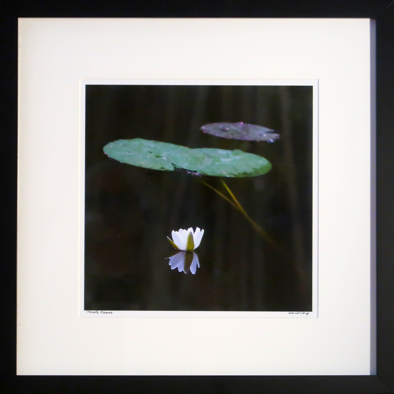 Diamond Art Kit 16x20 Advanced Water Lilies, 1 - Foods Co.